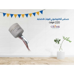 220V Photoelectric Light Sensor Switch